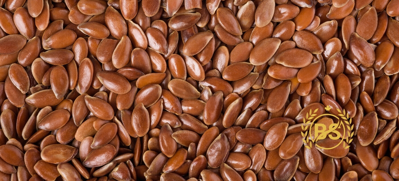 Flax Seed