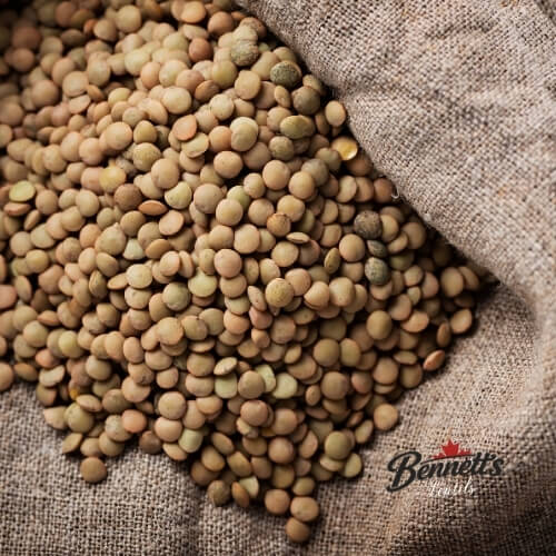 Canadian Lentils 