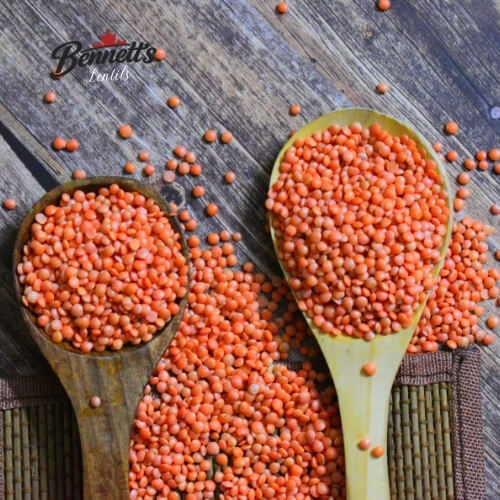 Canadian Lentils red